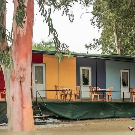 Patara Woody Hostel & Camping المظهر الخارجي الصورة