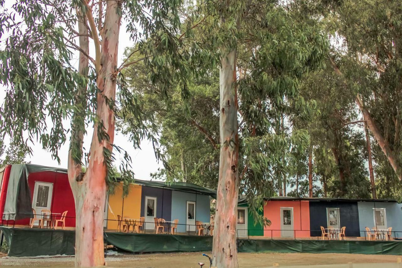Patara Woody Hostel & Camping المظهر الخارجي الصورة
