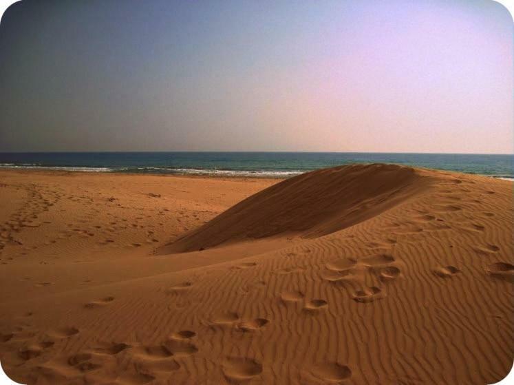 Patara Woody Hostel & Camping المظهر الخارجي الصورة